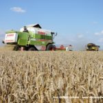 IS DSCF7015.JPG 150x150 Claas Mega 208 i New Holland CX 6080   dwa pokolenia kombajnów na jednym polu   FOTO