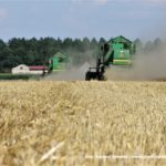 IS DSCF7016 2.JPG 150x150 Żniwa z John Deere na Kujawach ? 6 jeleni w akcji   FOTO