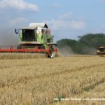IS DSCF7020.JPG 150x150 Claas Mega 208 i New Holland CX 6080   dwa pokolenia kombajnów na jednym polu   FOTO