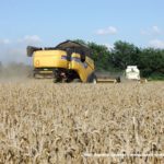 IS DSCF7033.JPG 150x150 Claas Mega 208 i New Holland CX 6080   dwa pokolenia kombajnów na jednym polu   FOTO