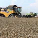 IS DSCF7038 2.JPG 150x150 Claas Mega 208 i New Holland CX 6080   dwa pokolenia kombajnów na jednym polu   FOTO
