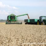IS DSCF7047.JPG 150x150 Żniwa z John Deere na Kujawach ? 6 jeleni w akcji   FOTO