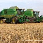 IS DSCF7076.JPG 150x150 Żniwa z John Deere na Kujawach ? 6 jeleni w akcji   FOTO