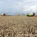 IS DSCF7153 2.JPG 150x150 4x Claas Lexion i... Bizon Z056 Super w akcji!   FOTO