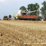 IS DSCF7191.JPG 150x150 4x Claas Lexion i... Bizon Z056 Super w akcji!   FOTO