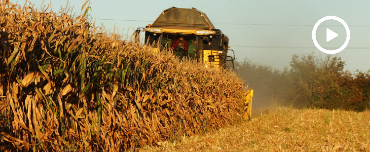 New Holland CR kukurydza 2018  film Tunele foliowe niezbędne w ogrodzie