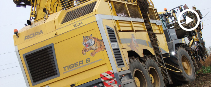 Ropa Tiger 6 kampania buraczana 2018  film Ropa Tiger 6 atakuje! Kampania buraczana 2018 na Kujawach – FOTO