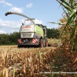 IS DSCF7003.JPG 150x150 Claas Jaguar 950 ? wydajna bestia dla wymagających   FOTO