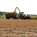 IS DSCF7019.JPG 150x150 Claas Jaguar 950 ? wydajna bestia dla wymagających   FOTO
