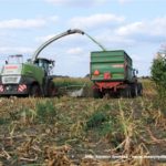 IS DSCF7036 2.JPG 150x150 Claas Jaguar 950 ? wydajna bestia dla wymagających   FOTO