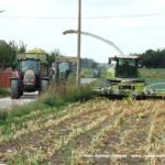 IS DSCF7043.JPG 150x150 Claas Jaguar 950 ? wydajna bestia dla wymagających   FOTO