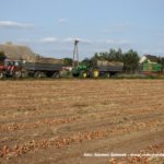IS DSCF7050.JPG 150x150 Claas Jaguar 950 ? wydajna bestia dla wymagających   FOTO