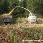 IS DSCF7060.JPG 150x150 Claas Jaguar 950 ? wydajna bestia dla wymagających   FOTO