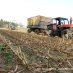 IS DSCF7063.JPG 150x150 Claas Jaguar 950 ? wydajna bestia dla wymagających   FOTO