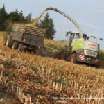 IS DSCF7067.JPG 150x150 Claas Jaguar 950 ? wydajna bestia dla wymagających   FOTO