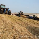 IS DSCF7089.JPG 150x150 Claas Jaguar 950 ? wydajna bestia dla wymagających   FOTO