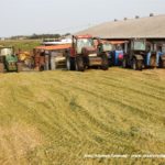 IS DSCF7111.JPG 150x150 Claas Jaguar 950 ? wydajna bestia dla wymagających   FOTO