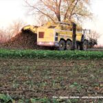 IS DSCF7010.JPG 150x150 Ropa Tiger 6 atakuje! Kampania buraczana 2018 na Kujawach ? FOTO