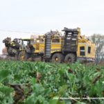 IS DSCF7059.JPG 150x150 Ropa Tiger 6 atakuje! Kampania buraczana 2018 na Kujawach ? FOTO