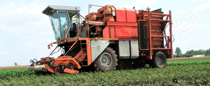 Wielkie maszyny kombajny FMC cz2 2019  film Wielkie maszyny z małych fabryk z ciekawą historią #3 – kombajn PMC GB 3300 (FOTO)