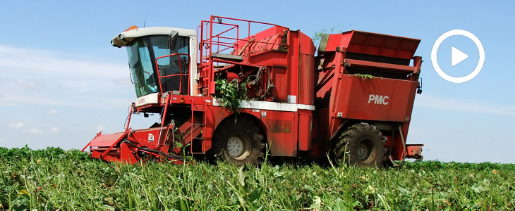 Wielkie maszyny kombajny PMC cz3 2019  film Zbiór cebuli kombajnem Amac wraz z John Deere 6155M, 6930, 6420 (WIDEO)