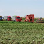 DSCF7127.JPG 150x150 Wielkie maszyny z małych fabryk z ciekawą historią #3 ? kombajn PMC GB 3300 (FOTO)