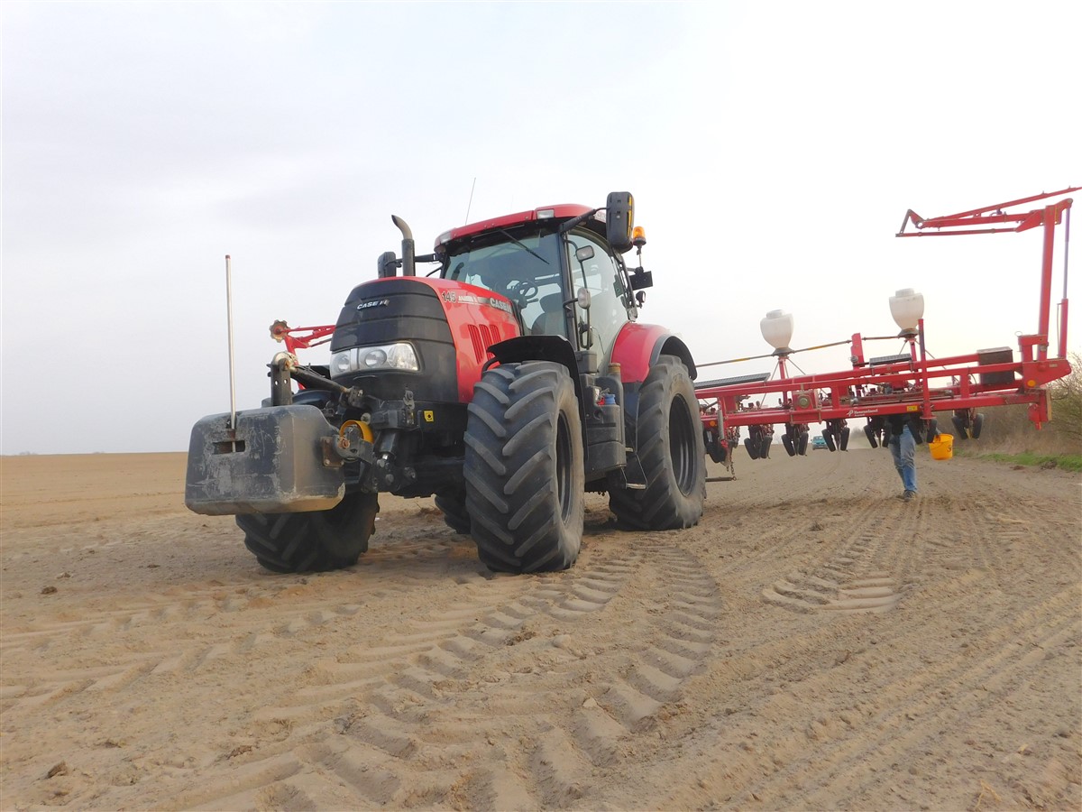 DSCN6765 Siew buraków w RZD Minikowo   w polu Case IH Puma 145 i 18 rzędów od Kverneland (VIDEO)