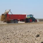 DSCN6830 150x150 Akcja obornik w RSP Kazin ? Claas Axion 810 + Brochard   FOTO