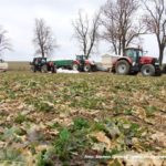 IS DSCF7015.JPG 150x150 NAWOZY 2019 w CGFP   2x Case Puma + Kverneland, Steyr, Faresin   FOTO