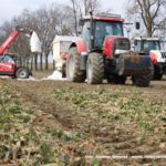 IS DSCF7032.JPG 1 150x150 NAWOZY 2019 w CGFP   2x Case Puma + Kverneland, Steyr, Faresin   FOTO