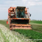 IS DSCF7120.JPG 150x150 Wielkie maszyny z małych fabryk z ciekawą historią ? kombajn FMC BH 6100 (FOTO)