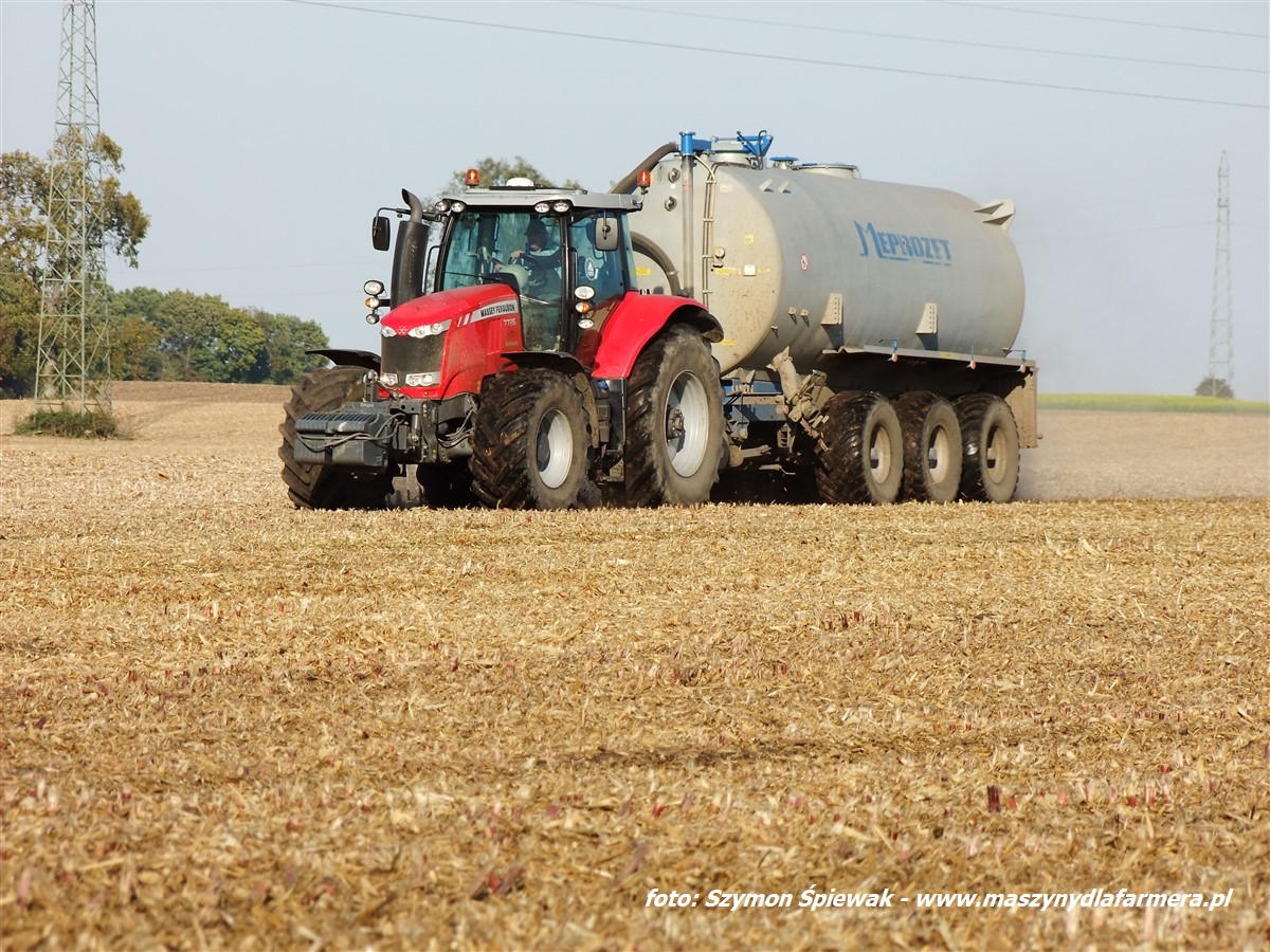 IS DSCF7127.JPG Siew cebuli w redlinach. W polu 2x Massey Ferguson i John Deere   FOTO