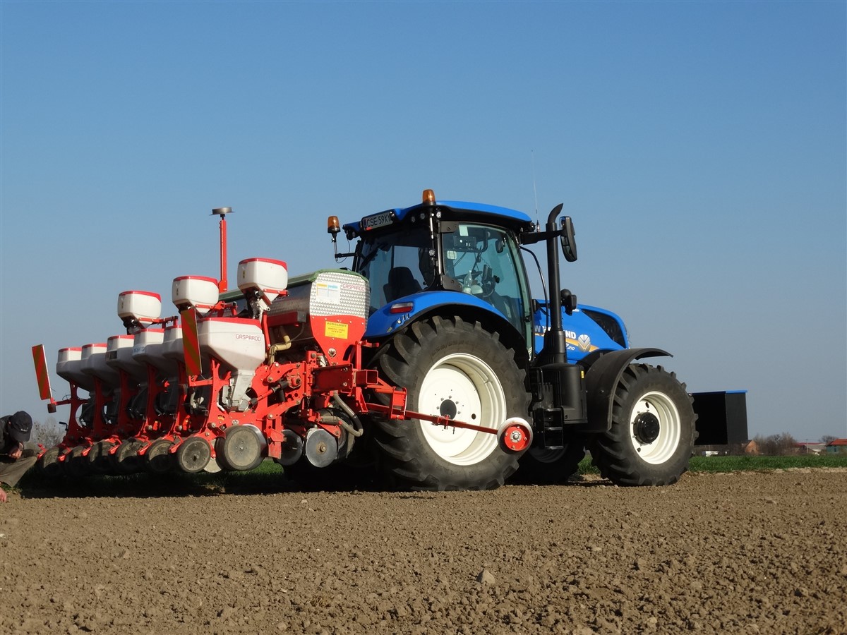 DSC01066 Siew kukurydzy 2020 – NEW HOLLAND T7.210 + Maschio Gaspardo MAGA   FOTO