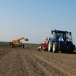DSC01067 150x150 Siew kukurydzy 2019 ? NEW HOLLAND T7.210 + Maschio Gaspardo MAGA   FOTO