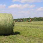 IMG 5879 1 1024x683 150x150 Zielone AGRO SHOW 2019 ? posumowanie pokazów maszyn zielonkowych