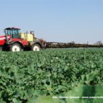 IS DSCF7082.JPG 150x150 TWIN FORCE 2×24 m w akcji   2x Hardi Alpha i wiosenne opryski rzepaku   FOTO
