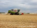 IS DSCF7009 1 150x113 Żniwa 2019 z kombajnami CLAAS w obiektywie Szymona Śpiewaka