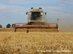 IS DSCF7018 2 150x113 Żniwa 2019 z kombajnami CLAAS w obiektywie Szymona Śpiewaka