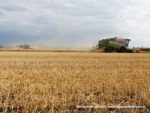 IS DSCF7020 1 150x113 Żniwa 2019 z kombajnami CLAAS w obiektywie Szymona Śpiewaka