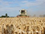 IS DSCF7022 150x113 Żniwa 2019 z kombajnami CLAAS w obiektywie Szymona Śpiewaka