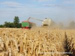 IS DSCF7031 1 150x113 Żniwa 2019 z kombajnami CLAAS w obiektywie Szymona Śpiewaka