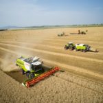 CLAAS QUADRANT prasa wielkogabarytowa zestaw w pracy żniwa 1 150x150 Wielkogabarytowy zbiór słomy według CLAAS