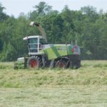 DSCN7555 150x150 Zielone żniwa  2019   w polu maszyny Claas, Case, Massey Ferguson, New Holland   FOTO