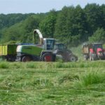 DSCN7606 150x150 Zielone żniwa  2019   w polu maszyny Claas, Case, Massey Ferguson, New Holland   FOTO