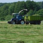 DSCN7610 150x150 Zielone żniwa  2019   w polu maszyny Claas, Case, Massey Ferguson, New Holland   FOTO