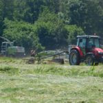 DSCN7618 150x150 Zielone żniwa ‚2019 – w polu maszyny Claas, Case, Massey Ferguson, New Holland – FOTO