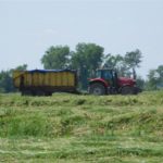 DSCN7630 150x150 Zielone żniwa  2019   w polu maszyny Claas, Case, Massey Ferguson, New Holland   FOTO