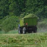 DSCN7635 150x150 Zielone żniwa  2019   w polu maszyny Claas, Case, Massey Ferguson, New Holland   FOTO