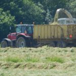 DSCN7640 150x150 Zielone żniwa  2019   w polu maszyny Claas, Case, Massey Ferguson, New Holland   FOTO