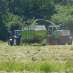 DSCN7657 150x150 Zielone żniwa  2019   w polu maszyny Claas, Case, Massey Ferguson, New Holland   FOTO